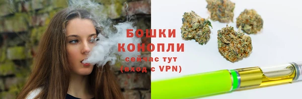 бошки Магас