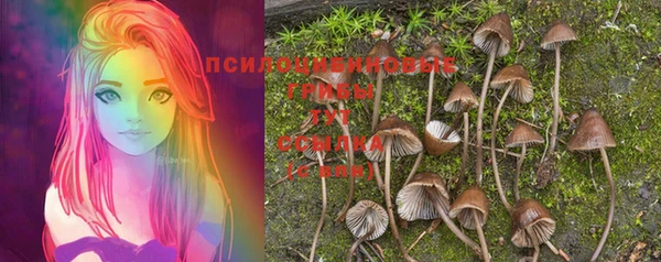 бошки Магас